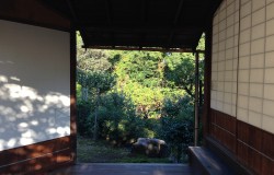 金毛茶会（その２）