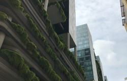 シンガポール建築−６